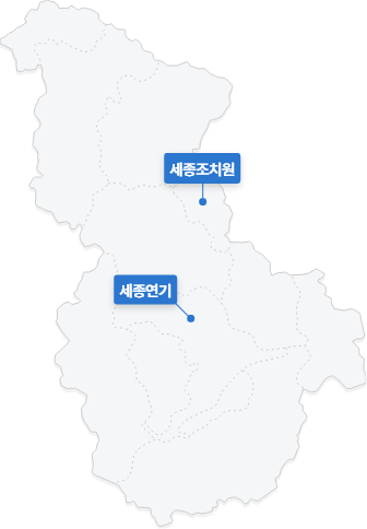 세종특별자치시 지도