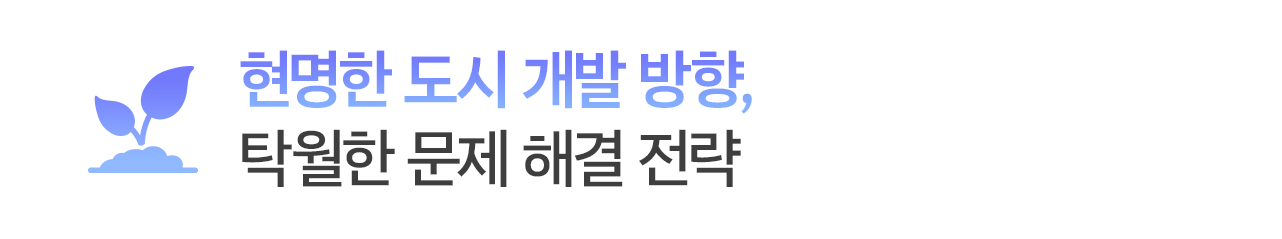 현명한 도시 개발 방향, 탁월한 문제 해결 전략